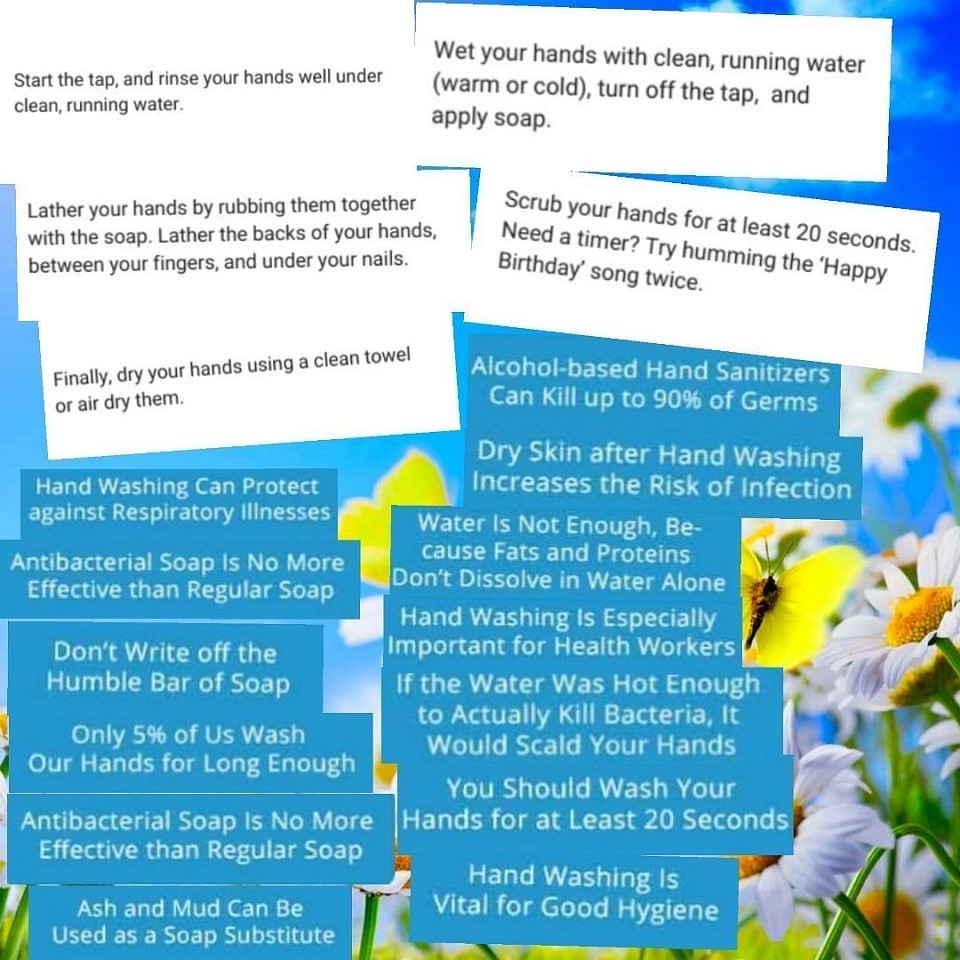 Hand Washing Techniques and Facts This block emphasizes the importance of proper hand washing techniques, although specific details are not provided.