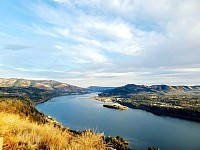 White salmon cleaning service